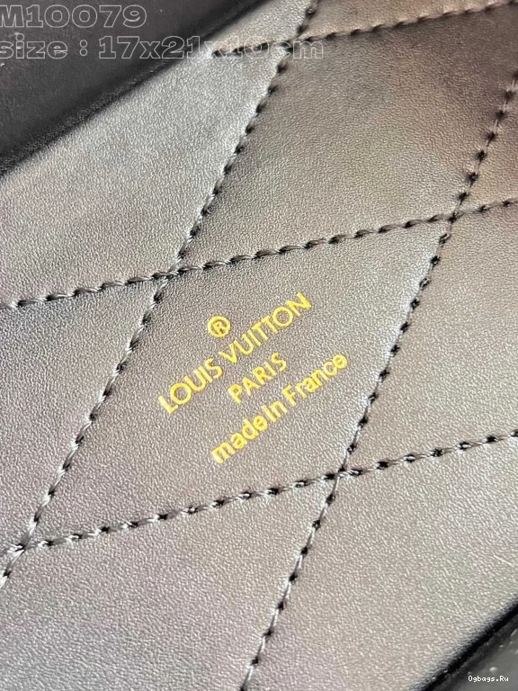 Box Camera LOUIS VUITTON Canvas Monogram 0321